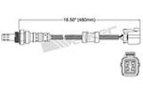 Productos Walker 250-24343 Sensor de oxígeno