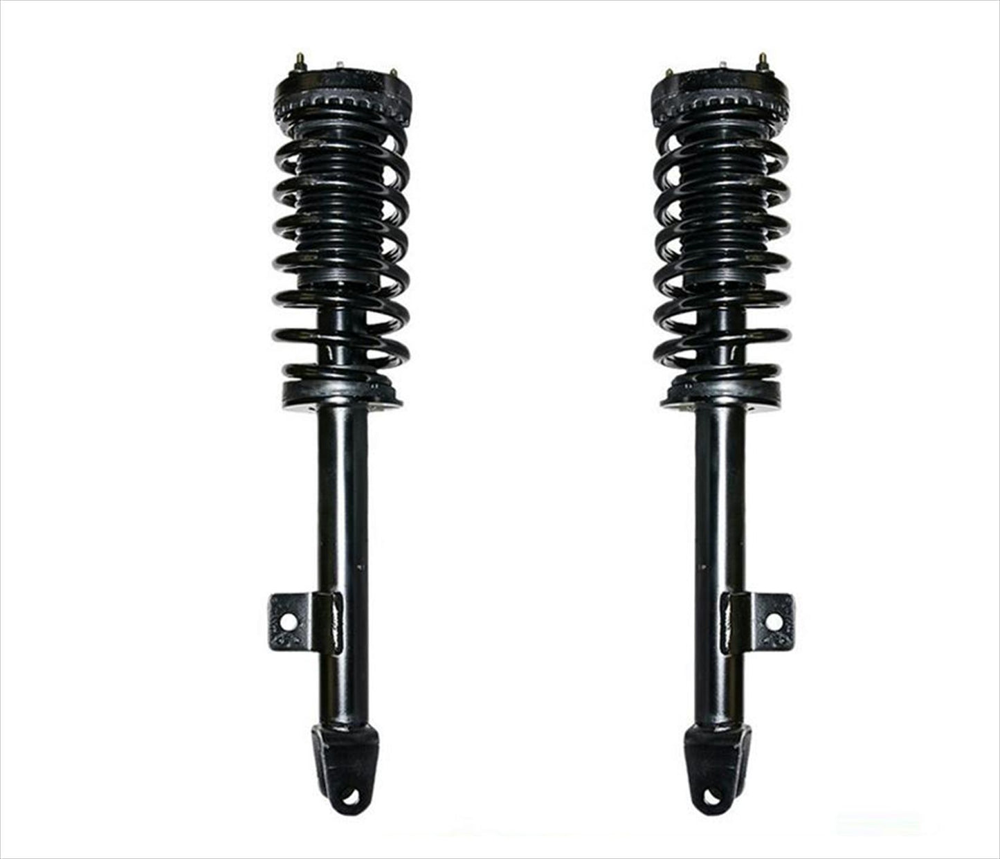 Front Strut & Coil Springs Fits For 05-2010 Rear Wheel Drive Chrysler 300 V8