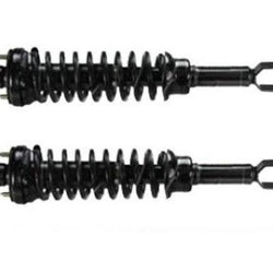 1996-2000 Civic (2) Rear Quick Spring Strut and Mount