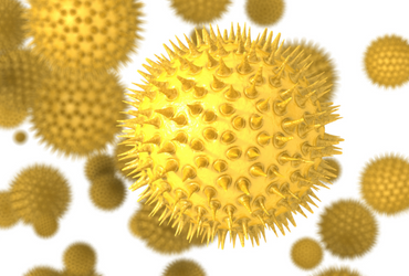 Alérgicos, lean esto antes de subirse a su automóvil esta primavera