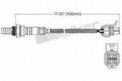 Productos Walker 250-24056 Sensor de oxígeno 
