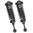 2003-2006 Expedition (2) Front Quick Spring Strut and Mount
