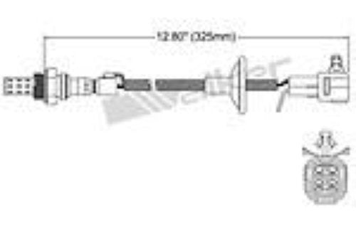 Productos Walker 250-22069 Sensor de oxígeno 