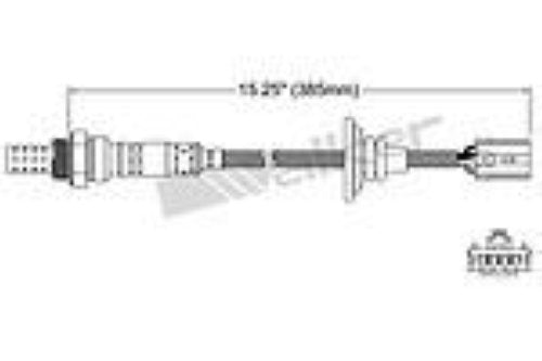 Productos Walker 250-24231 Sensor de oxígeno 