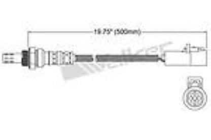 Productos Walker 250-24127 Sensor de oxígeno 