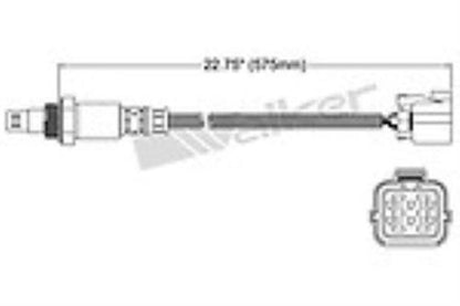 Walker Products 250-54027 Sensor de oxígeno FRONTAL 