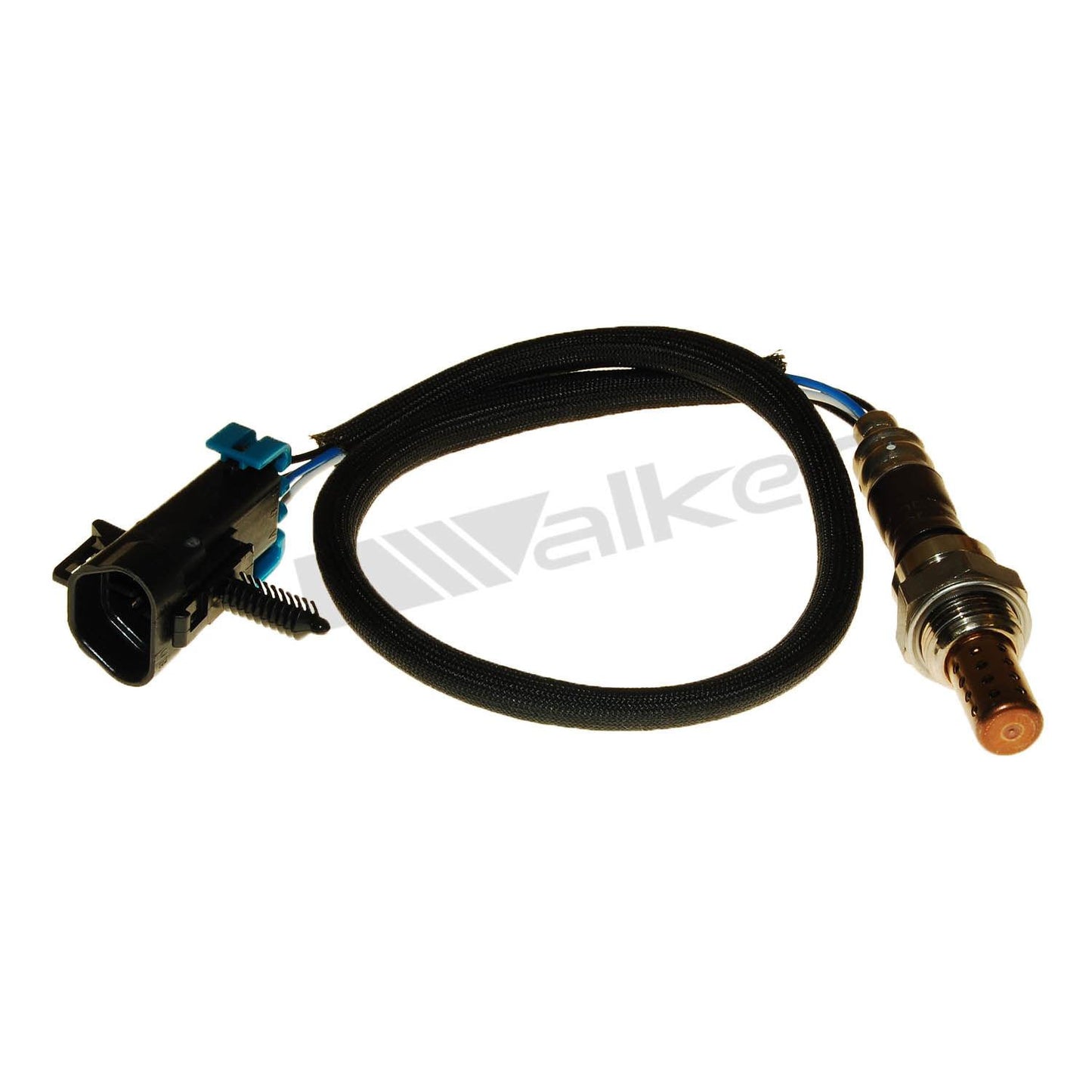 Walker Products 250-24950 Sensor de oxígeno, izquierdo, derecho 