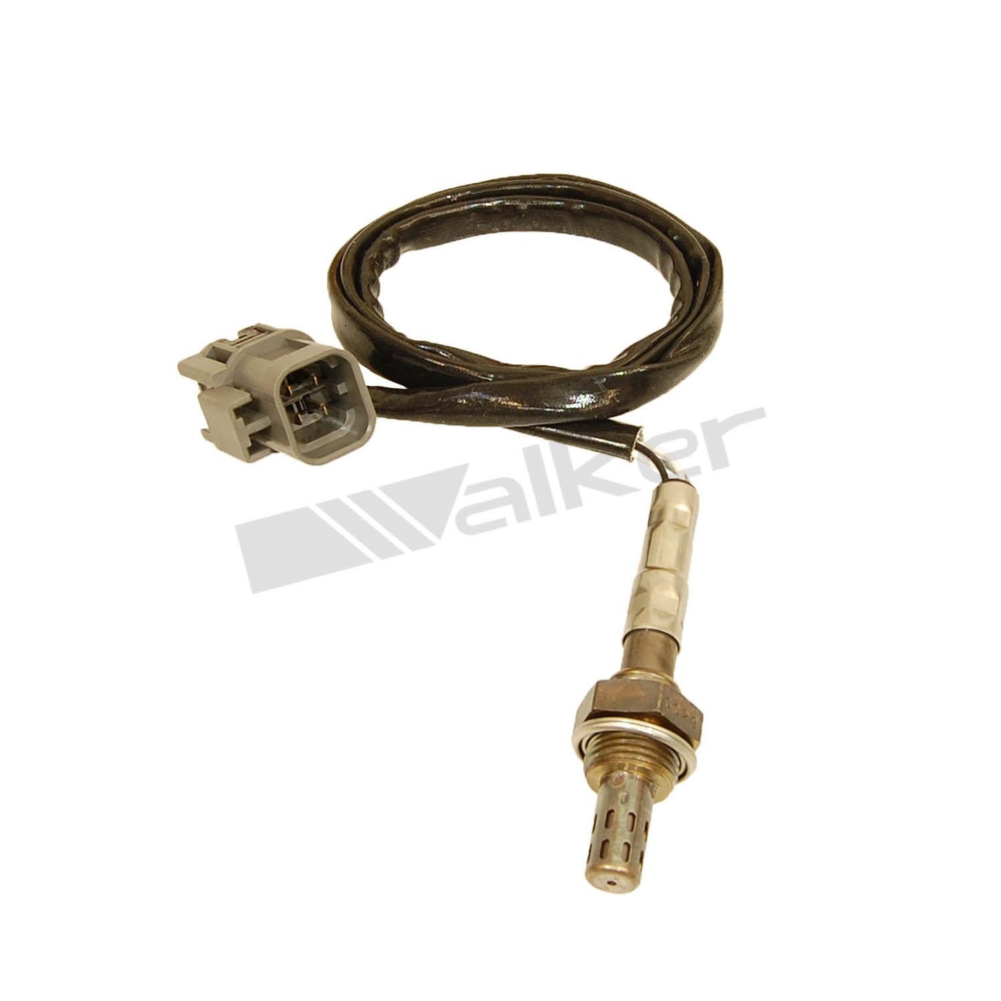 Walker Products 250-24102 Sensor de oxígeno, derecho, izquierdo 