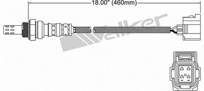 Sensor de oxígeno-OE Walker Products 250-24251 se adapta a Dakota 4.7L 05-07 