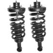 2003-2006 Expedition (2) Rear Quick Spring Strut and Mount