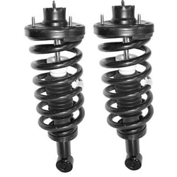 2003-2006 Expedition (2) Rear Quick Spring Strut and Mount