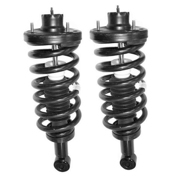 2003-2006 Expedition (2) Rear Quick Spring Strut and Mount