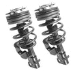 90-96 Lumina APV Van Silhouette Trans Sport (2) Frt Quick Spring Strut and Mount