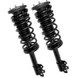 1991-2002 Saturn S Seriers (2) Rear Quick Spring Strut and Mount