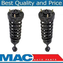 Front Complete Strut Coil Spring W Mounts For 04-08 Ford F150 4 Wheel Drive