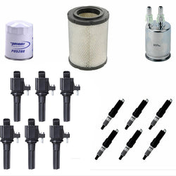 Filters Ignition Coils Platinum Plugs Fits For 02-05 Chevrolet Trailblazer 4.2L