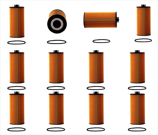 Se adapta a 03-10 Ford F250 Super Duty 6,0 6,4 diésel 12 filtros de aceite PTC 3C3Z6731AA