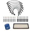 Ignition Wires Oil Air Filters Spark Plugs 19Pc for Dodge Ram Dakota 4.7L 2011