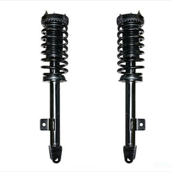 Puntal delantero y resortes helicoidales para Chrysler 300 V8 05-2010 con tracción trasera
