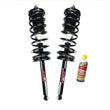 For 98-02 Accord (2) Rear Vari Rate Spring Strut and Mount With Rust Blaster