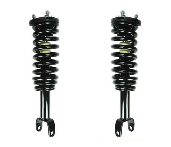 Se adapta a Dodge Dakota 05-09 3.7L 4.7L 4 ruedas delanteras con resorte helicoidal y soportes.