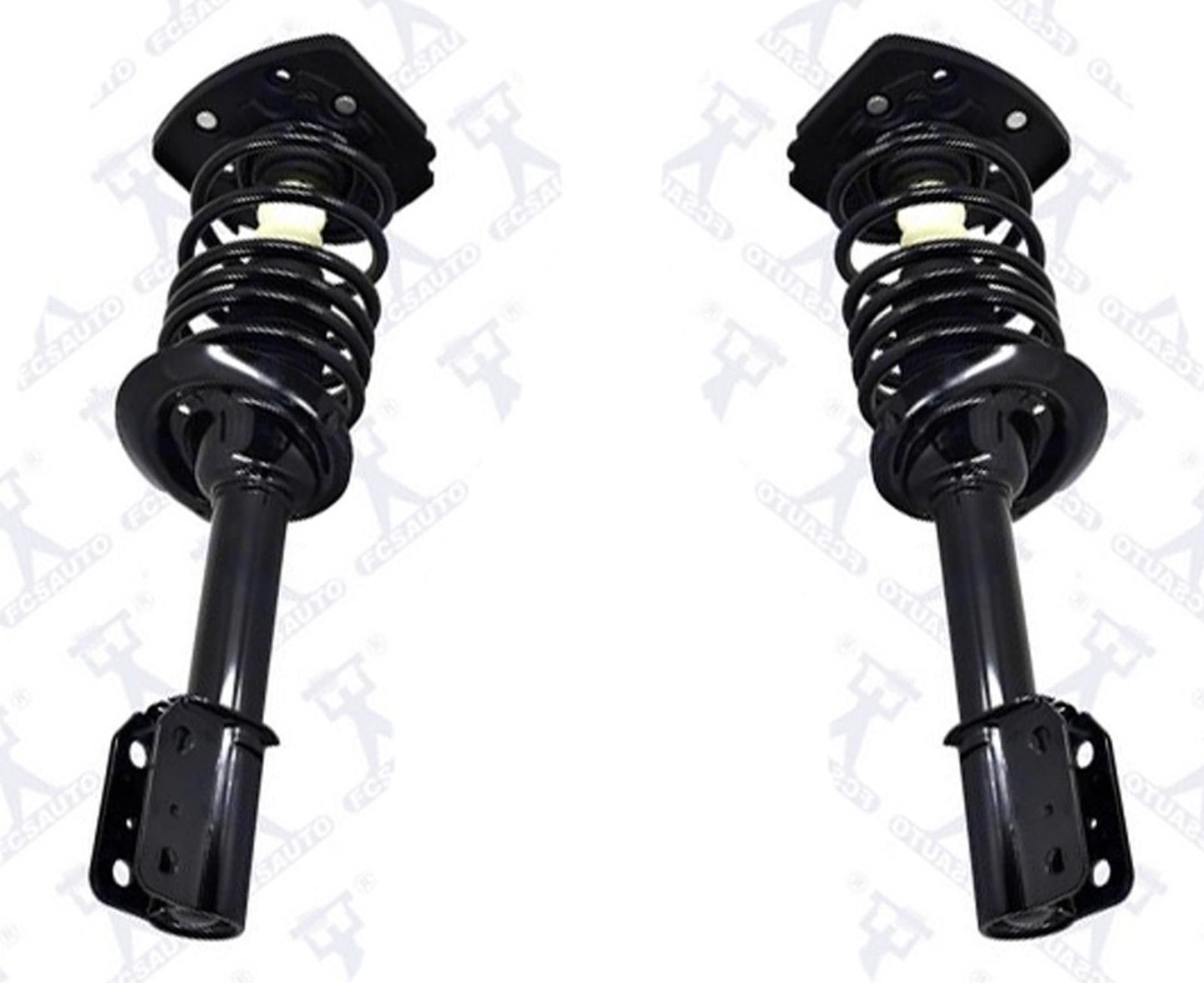 REAR Complete Spring Struts fits For 1997-1999 Chevrolet Monte Carlo REAR