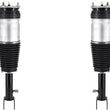Front Complete Air Strut Assembly For Tesla S 2016-2018 Rear Wheel Drive