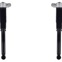 Rear Left & Right Complete Shocks Absorber For Hyundai Santa Fe 2019-2020