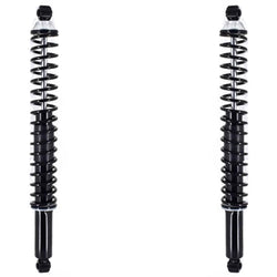 Rear Shocks Absorber W/ Coil Spring For Ford F-150 2004-2014 Rear Wheel Drive