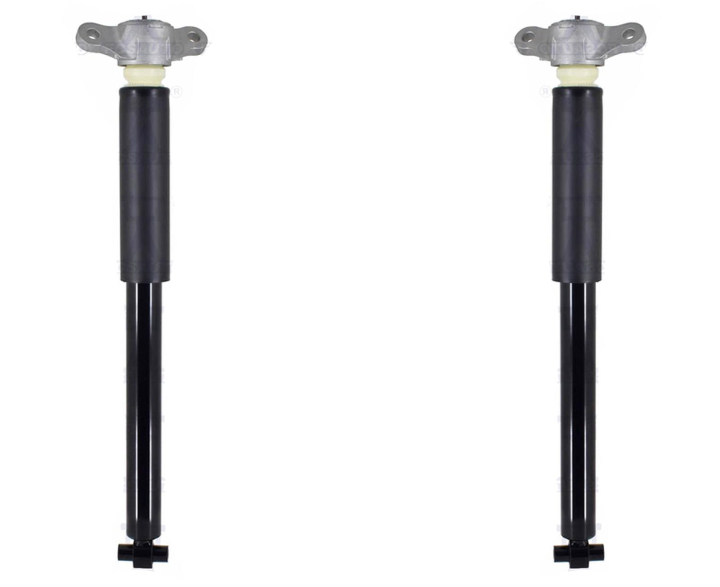 Rear Left & Right Complete Shocks Absorber For Ford Escape 2020 2021 2022 2023