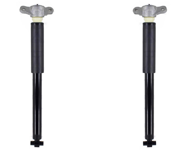 Rear Left & Right Complete Shocks Absorber For Ford Escape 2020 2021 2022 2023