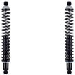 Rear Shocks Absorber W/ Coil Spring For Ford F-150 1980-1989 / F-250 1980-1991