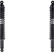 Rear Shocks Absorber W/ Coil Spring For Chrysler 300 65-1969 / New Yorker 65-78
