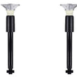 Rear Left & RIght Complete Shock Absorber For BMW 335I 2012-2015 Sedan