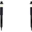 Rear Left & Right Complete Shocks Absorber For BMW 128i 135i 2008-2013