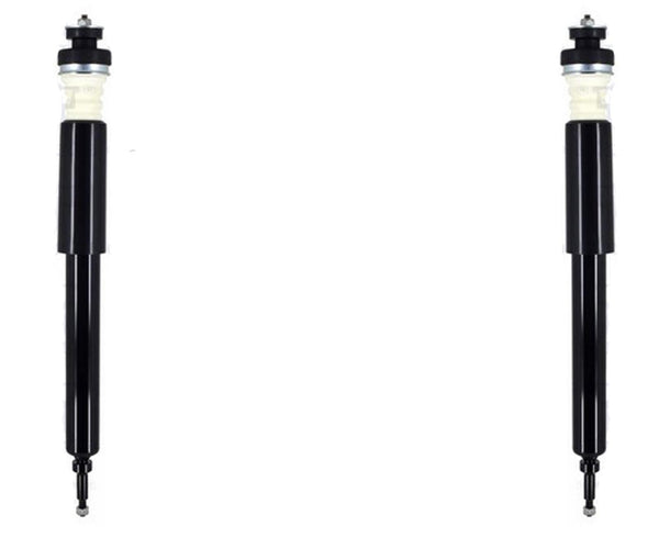 Rear Left & Right Complete Shocks Absorber For BMW 128i 135i 2008-2013