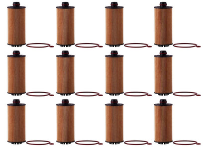 Engine Oil Filter 12 Pack for Chevrolet Express 2500 2017 2018-2022 2.8L Diesel