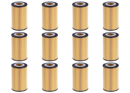 Engine Oil Filter 12 Pack for Mercedes Benz C63 2008-2015 CL63 ML63 A0001803009