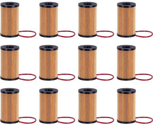 Engine Oil Filter For 2018-2022 Jaguar F-Type 12 Pack Shop Pack REF LRO 73669