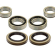 New REAR Axle Bearing & Seal Kit for Honda Passport 94-02 & Isuzu Rodeo 93-04