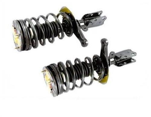 Skylark Beretta Corsica Achieva Grand Am (2) Front Quick Spring Strut and Mount