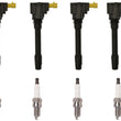 Direct Ignition Coils & Spark Plugs For Fiat 124 Spider 2017 2018 2019 2020
