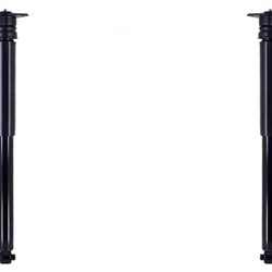 Rear Shocks Absorber W/ Mounts & Bushings For Nissan Sentra 2020 2021 2022 2024