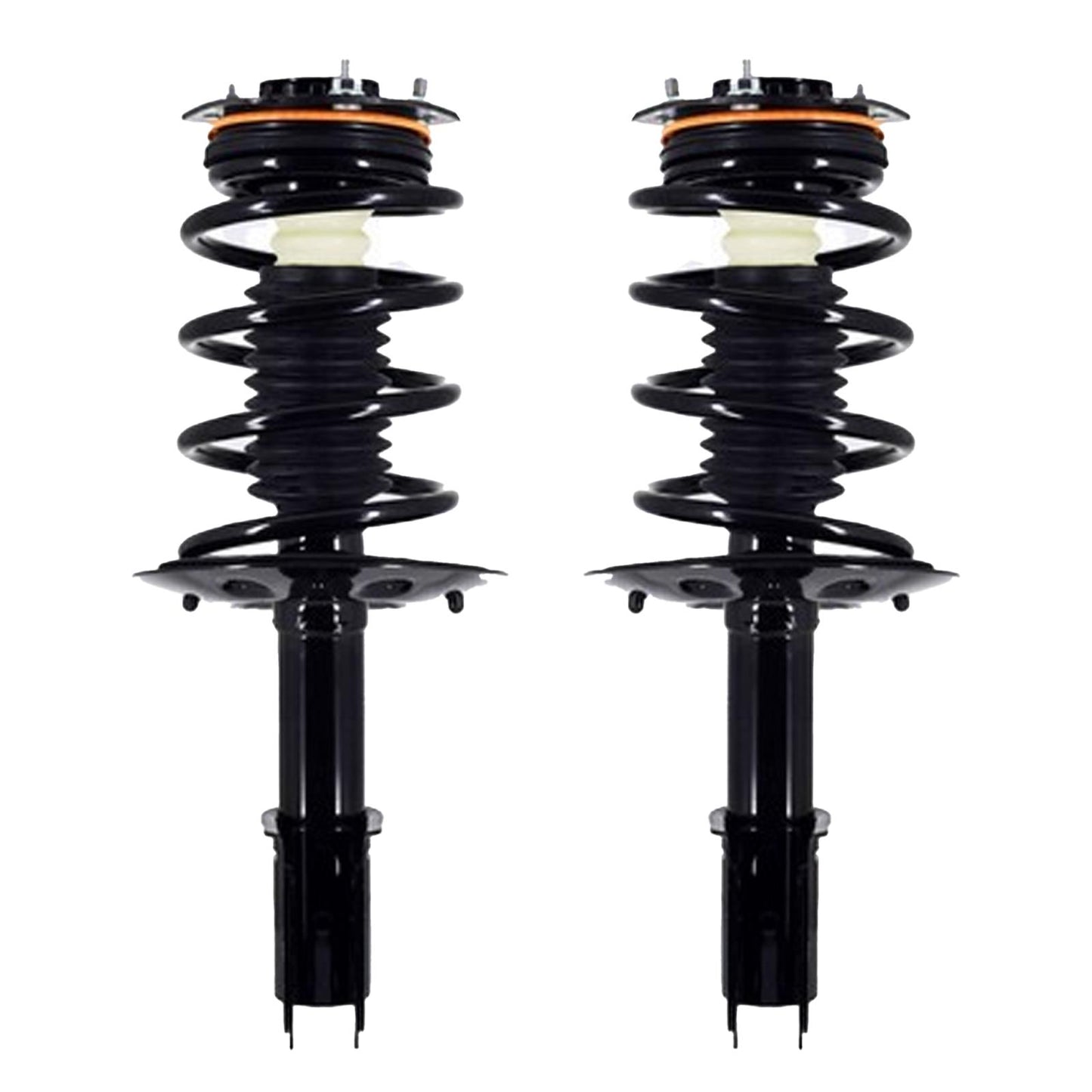 Front Coil Springs Struts for Buick Regal 1997 1998 1999 2000 2001 2002 2004