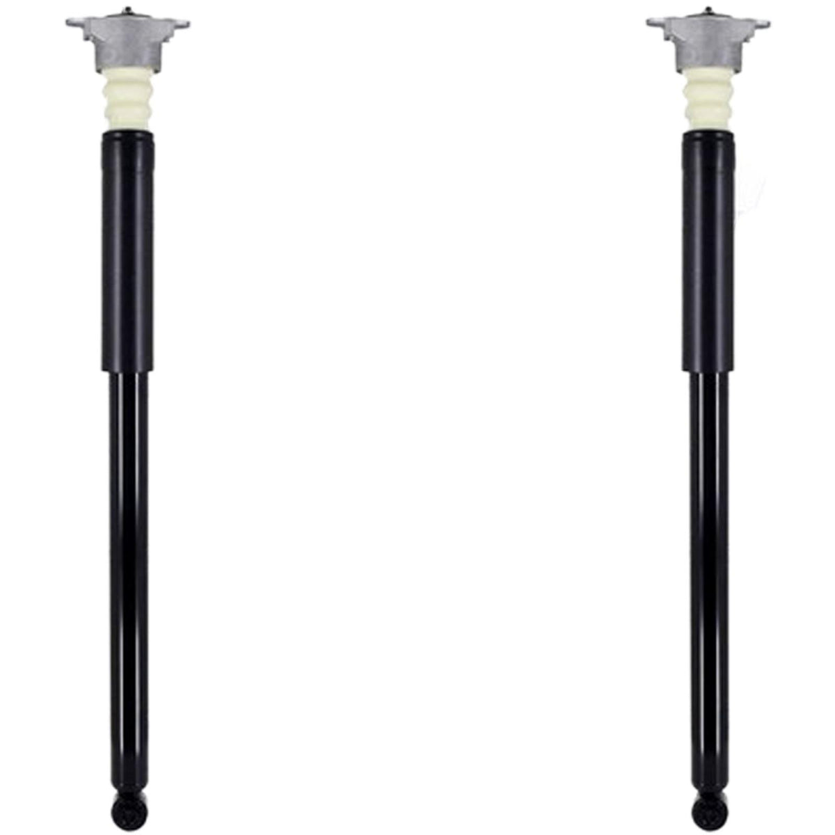 Rear Complete Shocks W/ Bushings & Mounts For Ford Ecosport 2.0L 2018 2020 2022 - Photo 1